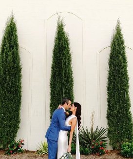 Newlyweds beside the Rose Briar Place garden wall